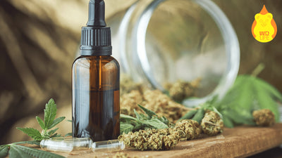 ¿Qué es el CBD? Descubre sus beneficios terapéuticos y cómo dosificarlo